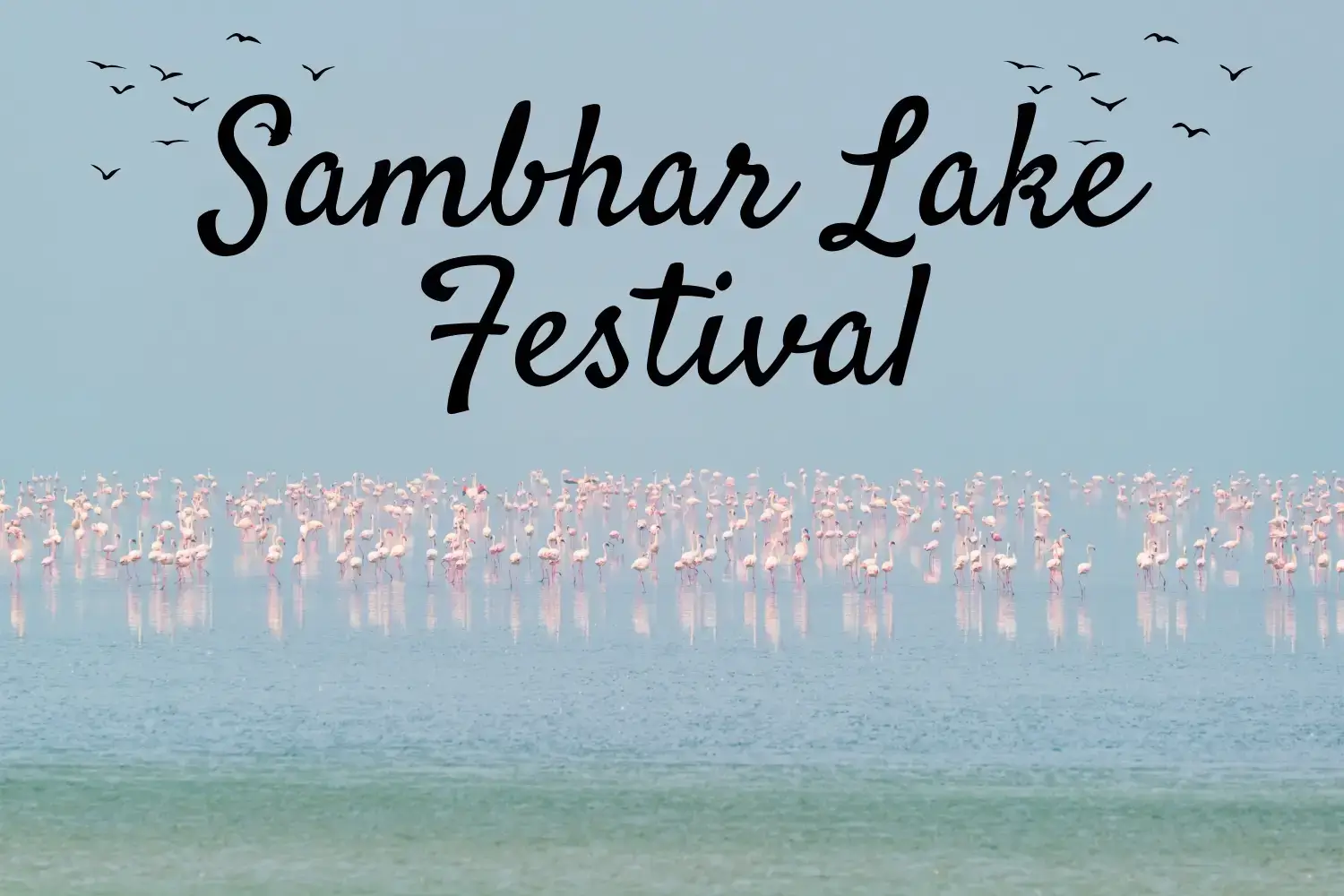 Sambhar Festival Rajasthan 2025